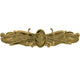 Navy Surface Warfare Medical Service Officer Badge