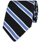 Broad Striped Silk Tie